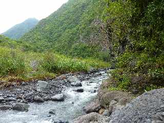 Bras de la Plaine (Sentier du Pont d'Yves) - Laves prismes