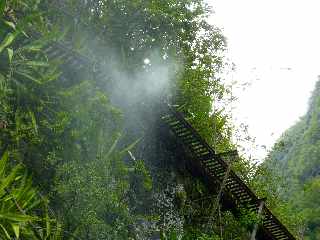 Bras de la Plaine (Sentier du Pont d'Yves) - Canalisation vers le Bras de Pontho