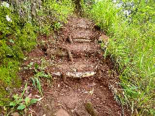 Bras de la Plaine (Sentier du Pont d'Yves) - Marches