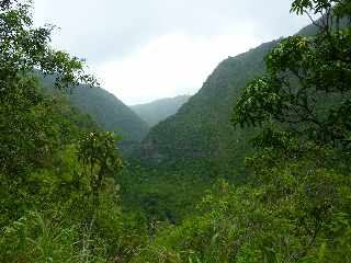 Bras de la Plaine (Sentier du Pont d'Yves) - Vesr l'aval