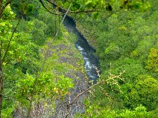 Bras de la Plaine (Sentier du Pont d'Yves) -