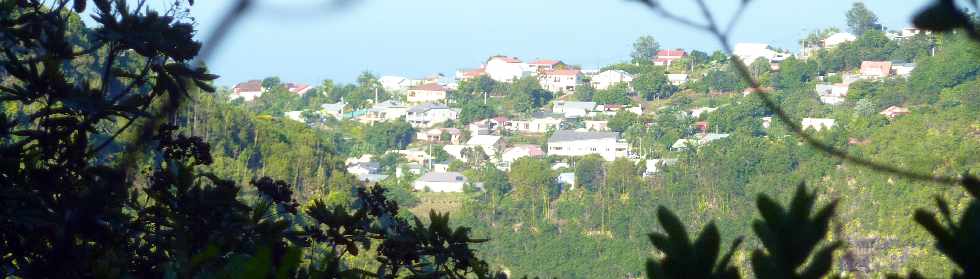 Pont d'Yves - Sentier vers le Bras de la Plaine - Vue vers la Ravine des Citrons