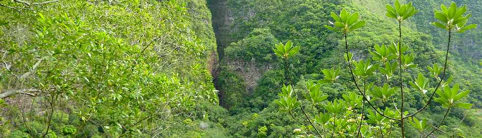 Pont d'Yves - Sentier vers le Bras de la Plaine - Ravine de l'Argamasse