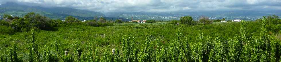 Domaine du caf grill - Pierrefonds - St-Pierre - Vue vers les Hauts