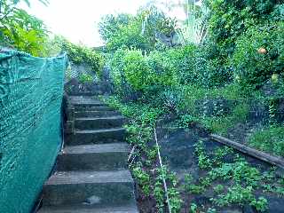 Sentier de Cayenne à Bras Mouton - St-Leu - Escaliers