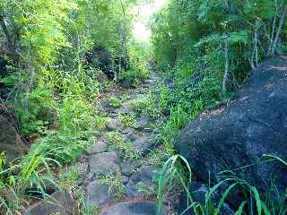 Sentier de Cayenne  Bras Mouton - St-Leu - Sentier pav