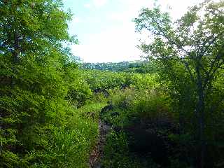 Sentier de Cayenne  Bras Mouton - St-Leu - Vue vers Bras Mouton