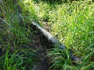 Sentier de Cayenne  Bras Mouton - St-Leu - Canalisation