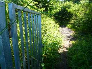 Sentier de Cayenne  Bras Mouton - St-Leu - Baro