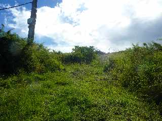 Sentier de Cayenne  Bras Mouton - St-Leu - Station de pompage