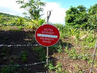 Sentier de Cayenne  Bras Mouton -  St-Leu -