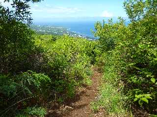 St-Leu - Bras Mouton -  Sentier vers Cayenne -