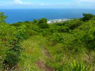 St-Leu - Bras Mouton -  Sentier vers Cayenne -