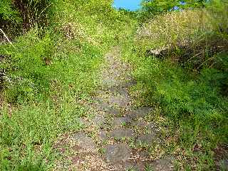 St-Leu - Bras Mouton -  Sentier vers Cayenne - Pavage