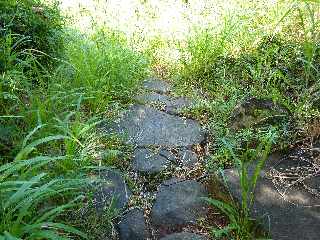 St-Leu - Bras Mouton -  Sentier vers Cayenne - Pavage