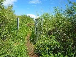 St-Leu - Bras Mouton -  Sentier vers Cayenne - Baro