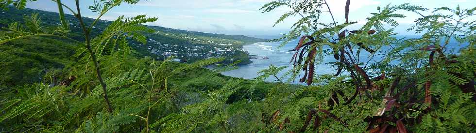 Sentier de Cayenne  Bras Mouton - Vue sur la baie de St-Leu -