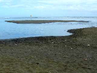 Etang-Sal les Bains - Mars 2012 - le au Bassin Pirogue