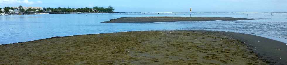 Etang-Sal les Bains - Mars 2012 - le au Bassin Pirogue