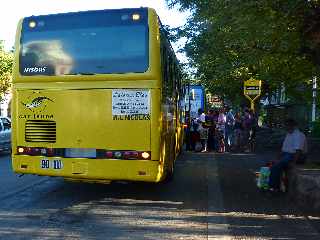 St-Leu - Arrt Car Jaune