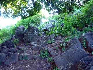 St-Leu - Sentier de Grand Etang