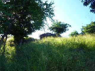 St-Leu - Sentier de Grand Etang