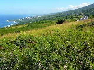 St-Leu - Sentier de Grand Etang -