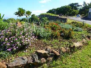 St-Leu - CD22 - Vers l'Etang St-Leu - Fleurissement des virages