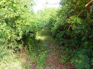 St-Leu - Le Cap Lelivre - Sentier du Chemin Cheval