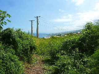 St-Leu - Sous la Route des Tamarins