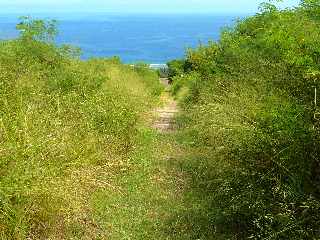 St-Leu - Sentier de retour vers la cte