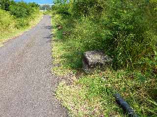 St-Leu - Sentier de retour vers la cte