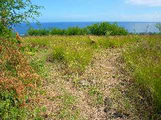 St-Leu -  Herbages