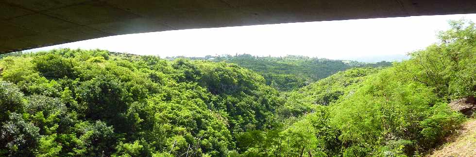 Pont sur la Ravine des Poux - Route des Tamarins