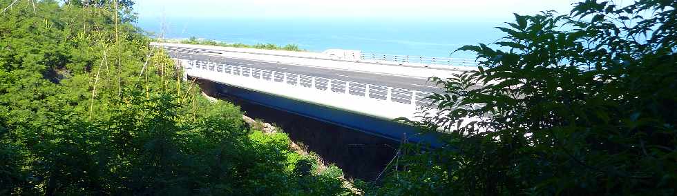 St-Leu - Sentier de Grand Etang - Pont sur la Ravine de Petit Etang