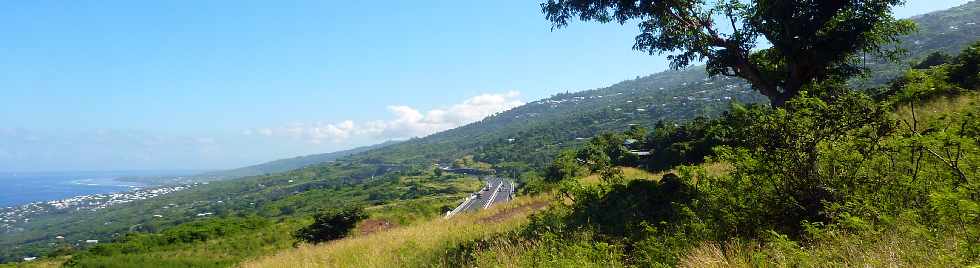 St-Leu - Sentier de Grand Etang - Route des Tamarins