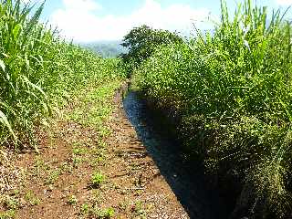 Canal de dcharge du rservoir SAPHIR de Dassy