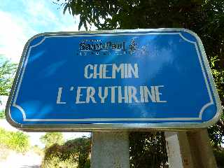 St-Paul - Ravine Athanase - Chemin L'Erythrine