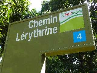 St-Paul - Ravine Athanase - Chemin Lrythrine