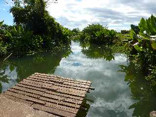 St-Paul - Chemin du Tour des Roches - Etang