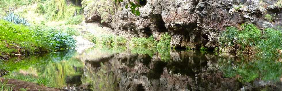 St-Paul - Tour des Roches - Ravine Divon - Bassin Long