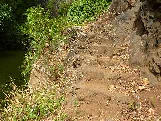 St-Paul - Ravine Bernica - Sentier vers le Bassin Pigeon