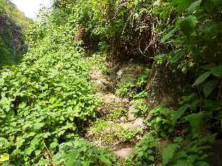 St-Paul - Ravine Bernica - Sentier vers le Bassin Pigeon