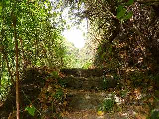 St-Paul - Ravine Bernica - Sentier vers le Bassin Pigeon