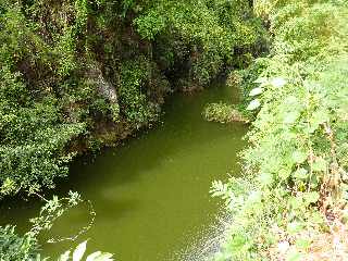 St-Paul - Ravine Bernica - Sentier vers le Bassin Pigeon