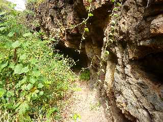 St-Paul - Ravine Bernica - Sentier vers le Bassin Pigeon