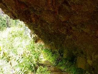 St-Paul - Ravine Bernica - Sentier vers le Bassin Pigeon