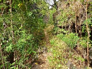 St-Paul - Ravine Bernica - Sentier vers le Bassin Pigeon