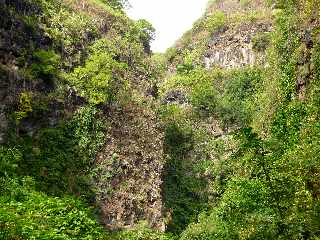 St-Paul - Ravine Bernica - Sentier vers le Bassin Pigeon