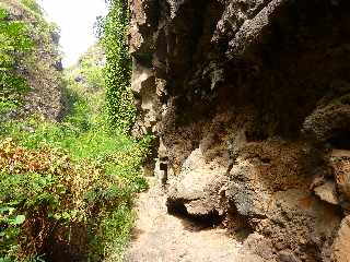 St-Paul - Ravine Bernica - Sentier vers le Bassin Pigeon